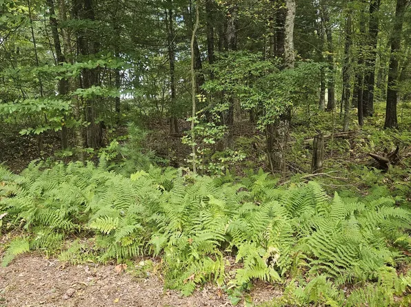 Lot 22 & 23 Camp Moween Road, Lebanon, CT 06249