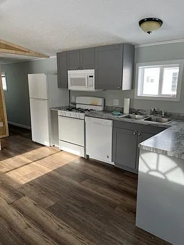 3 bed, 980 sqft, $1,000 — Photo 3