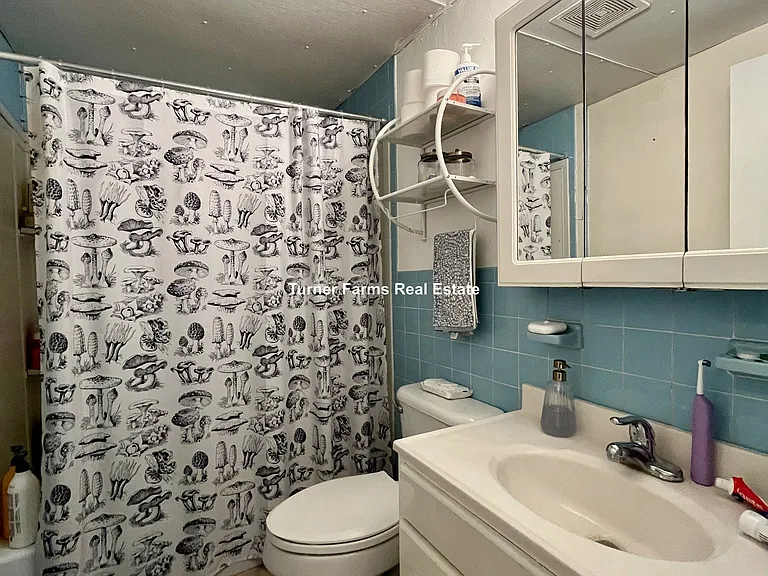 262 Shawmut Ave #2A — Photo 13
