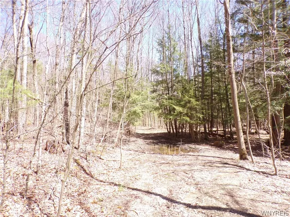 0 Yeager Hill Rd #30, Scio, NY 14880