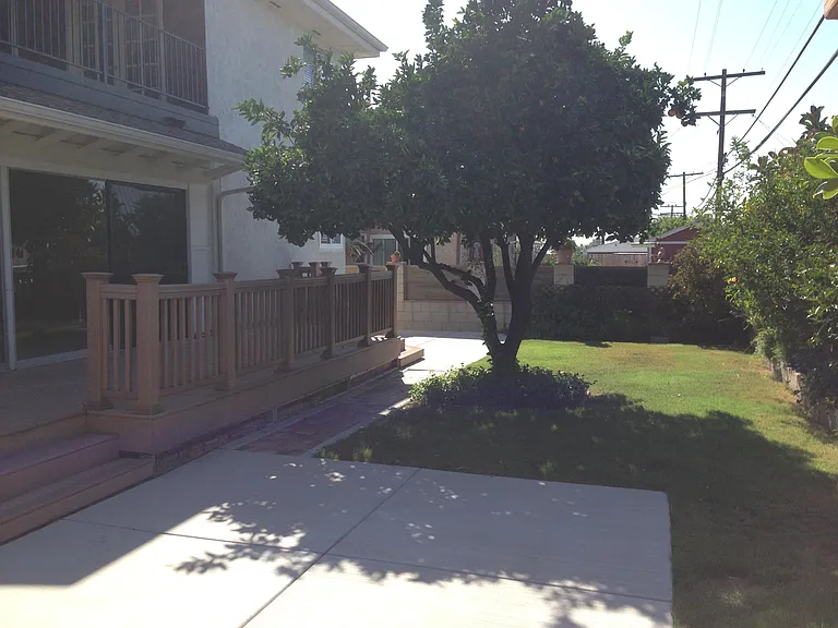 Backyard View 1