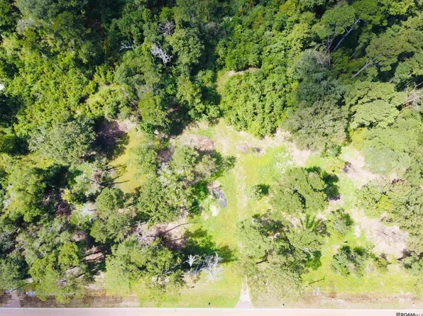 31483 State Highway 1036, Holden, LA 70744