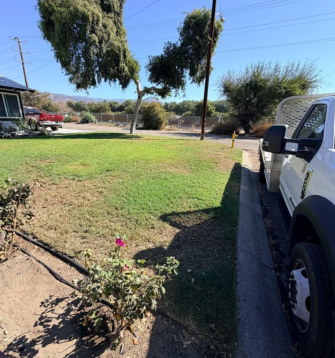 Orchid Dr, San Bernardino — Photo 2