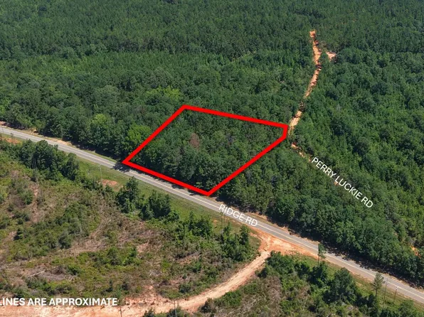 0 Ridge Rd Parcel B, Greenville, AL 36037