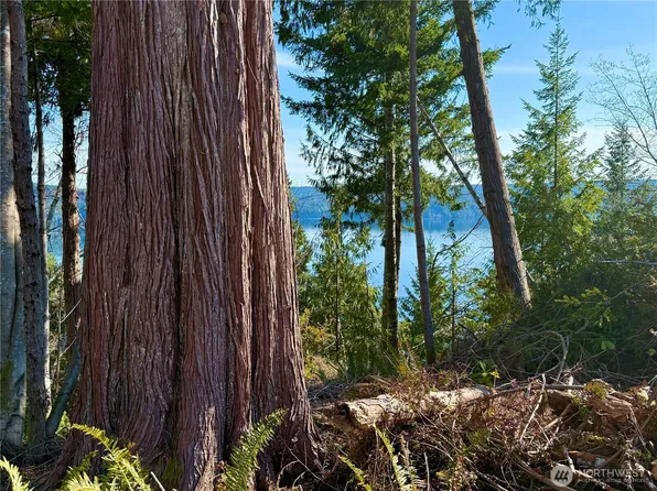 63 Devereaux Drive, Lilliwaup, WA 98555