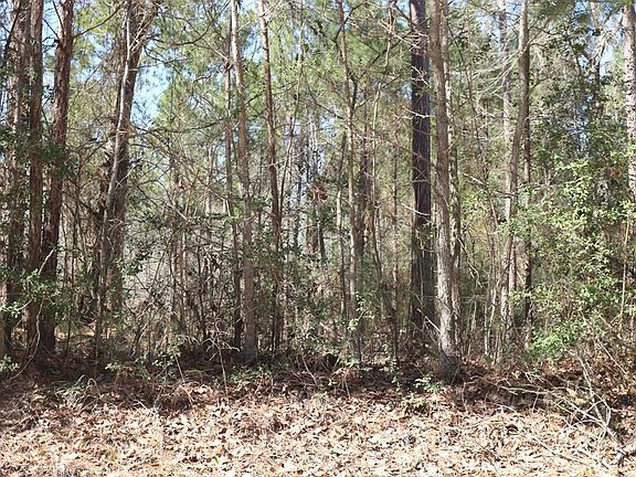 3rd image of 12-1 N Hanson Rd Lot 12