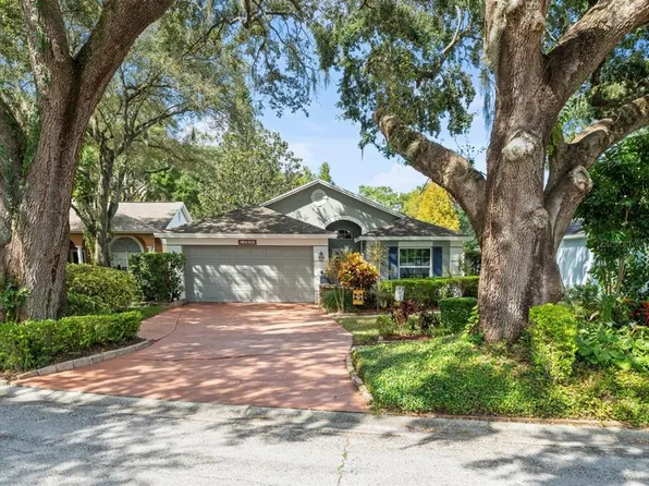 13506 BELLINGHAM DRIVE, TAMPA, FL 33625
