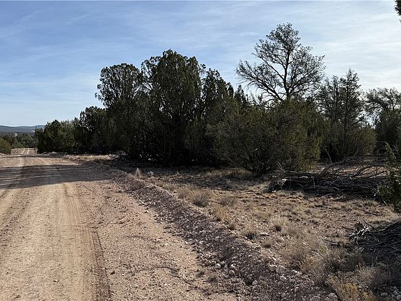 5th image of 40087 W Salty Branch Trail