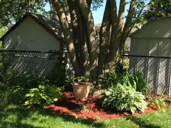 5th image of 3409 Leonard St