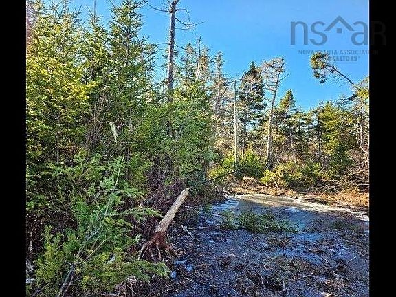 3rd image of Port Latour Rd