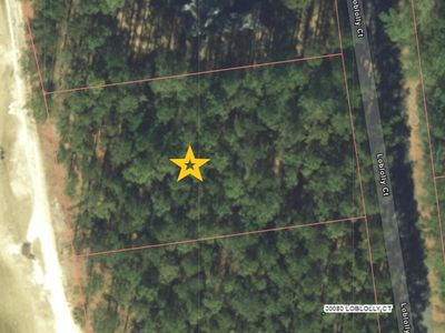 47 Loblolly Court, Wagram, NC, 28396