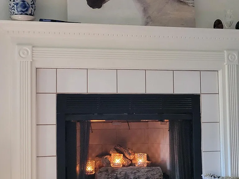 Cozy Fireplace