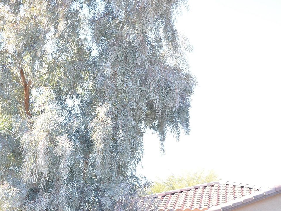 1st image of 21454 N Duncan Dr