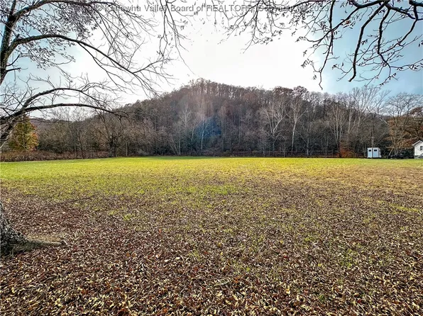 Grayson Ln, Chapmanville, WV 25508