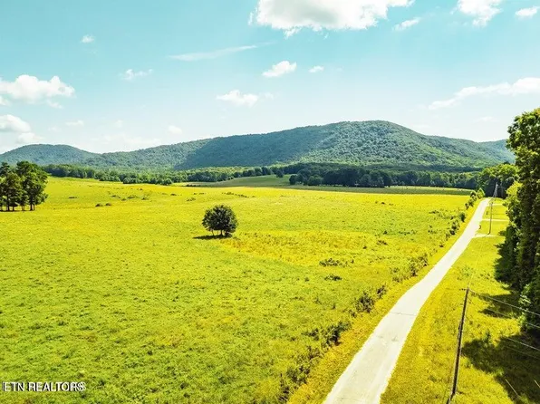 White Oak Circle Rd, Sunbright, TN 37872