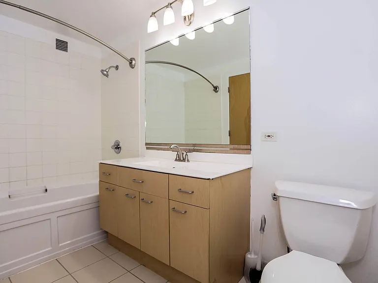 1845 S Michigan Ave #1204 — Photo 12