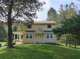 6 Dahlia Rd, Livingston Manor, NY 12758