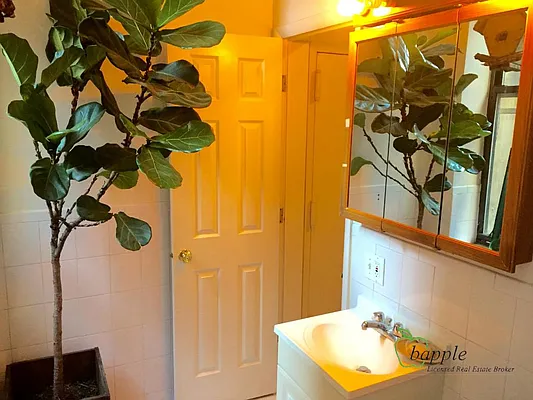 Rented by Bapple | media 22