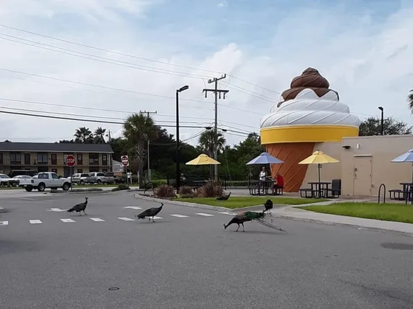 (undisclosed Address), Cape Canaveral, FL 32920