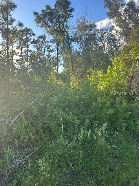 1st image of 1480 BLAISDELL STREET LOT 10