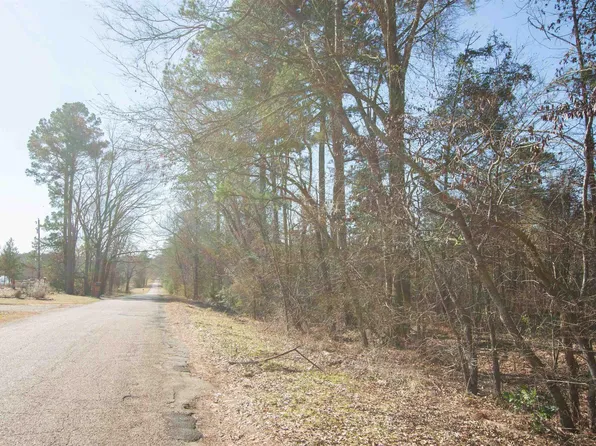 Vz County Road 4810, Ben Wheeler, TX 75754