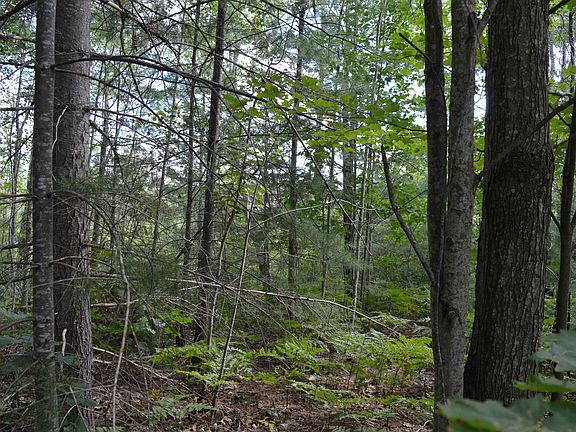 5th image of 8430 Grass Lake Rd NE