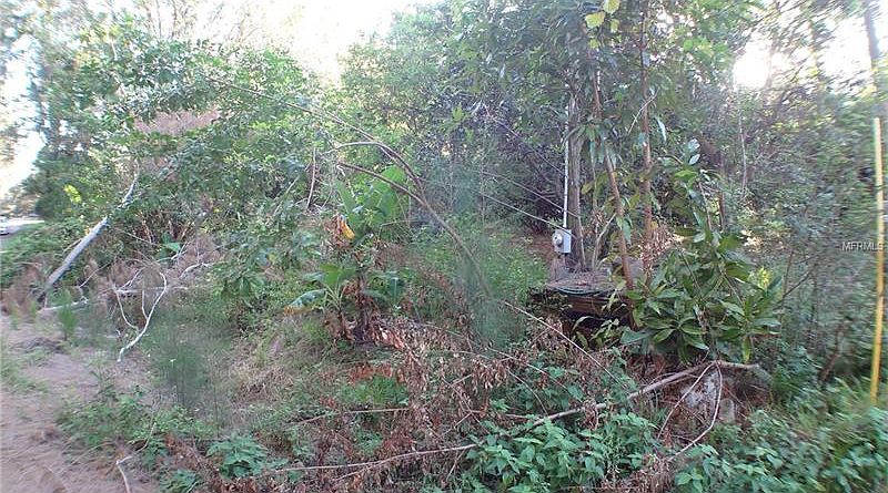 2nd image of 48 N Crest Ave
