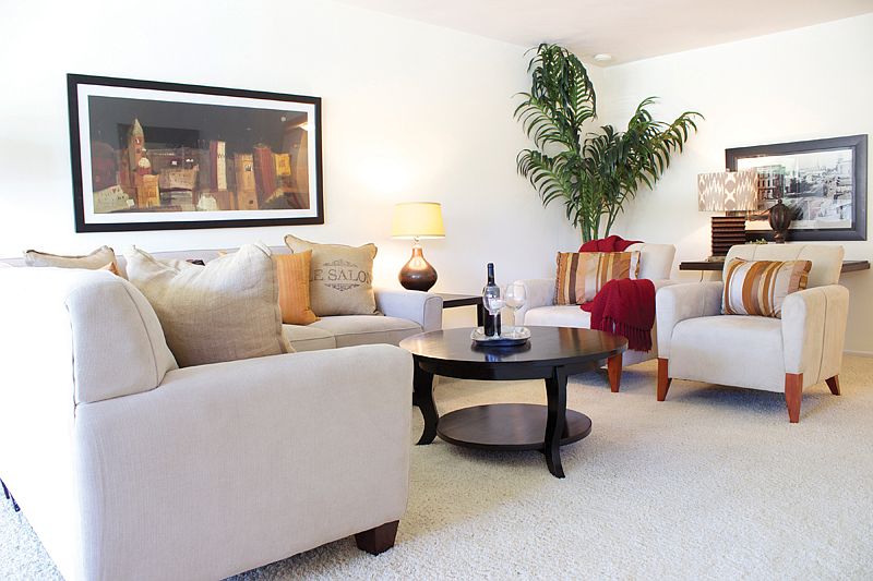 Spacious Living Room