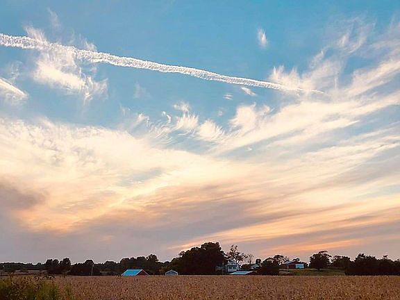 Why it's named Skyline Farm!