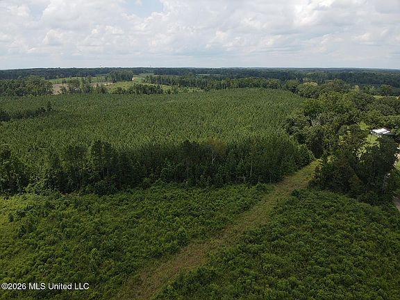 2nd image of County Road 131b