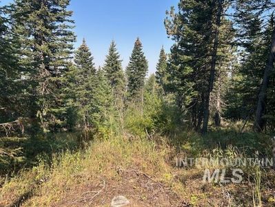 Tbd Radar Rd, Cottonwood, ID, 83522