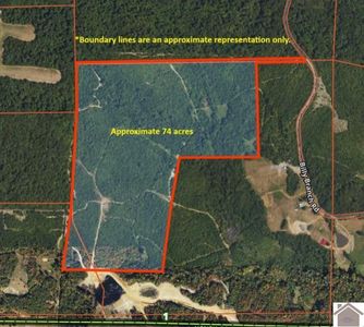 0 Billy Branch Rd, New Concord, KY, 42076