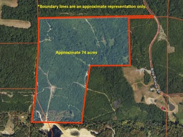 0 Billy Branch Rd, New Concord, KY 42076