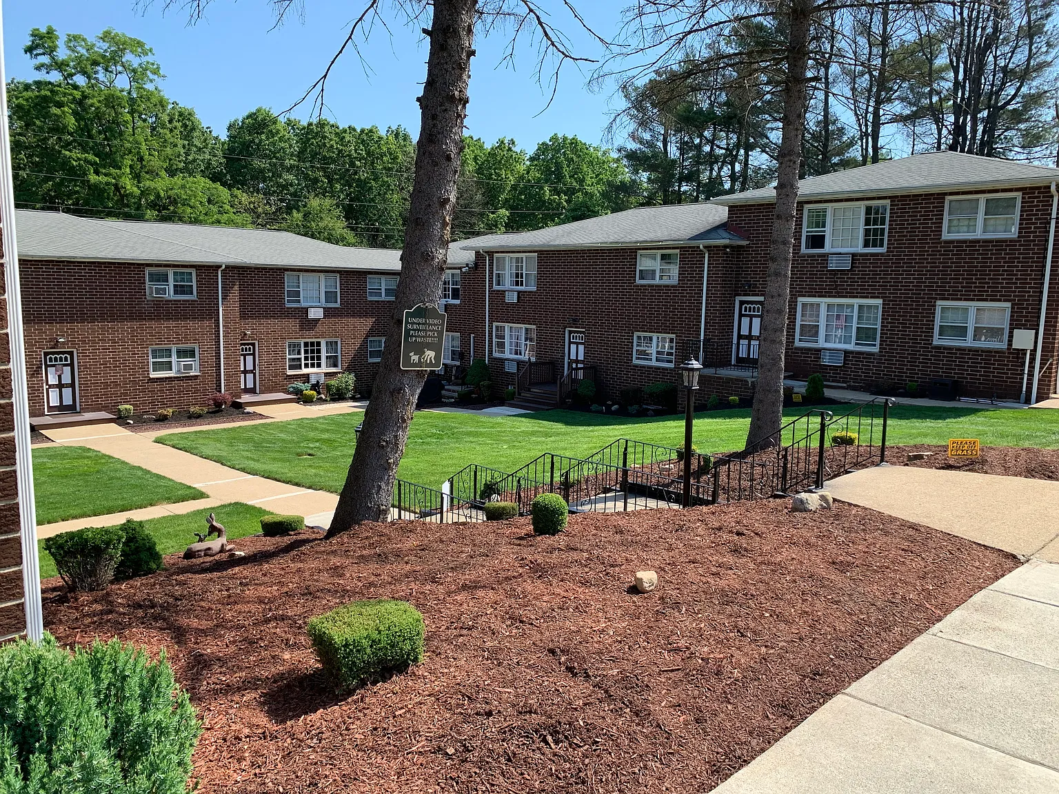 1 bed, 800 sqft, $1,950 — Photo 2