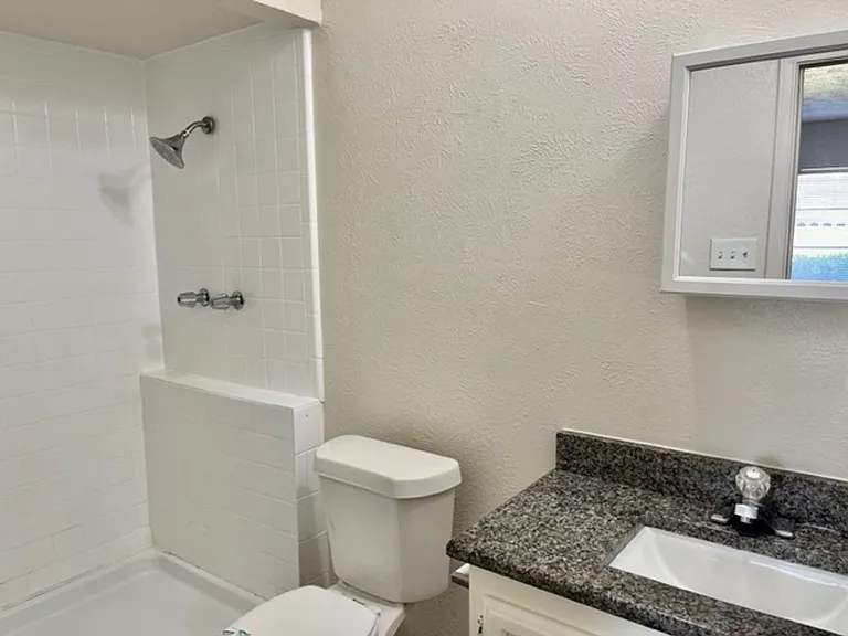 4020 Blue Flag Ln — Photo 24