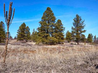 124 High Dr, Pagosa Springs, CO 81147