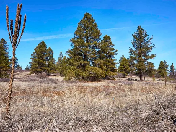 124 High Drive, Pagosa Springs, CO 81147