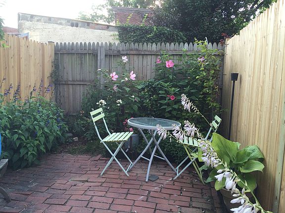 Summer garden
