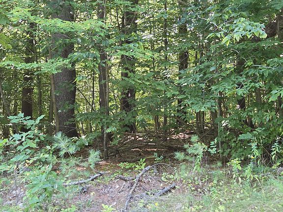 3rd image of 385 Swain Road