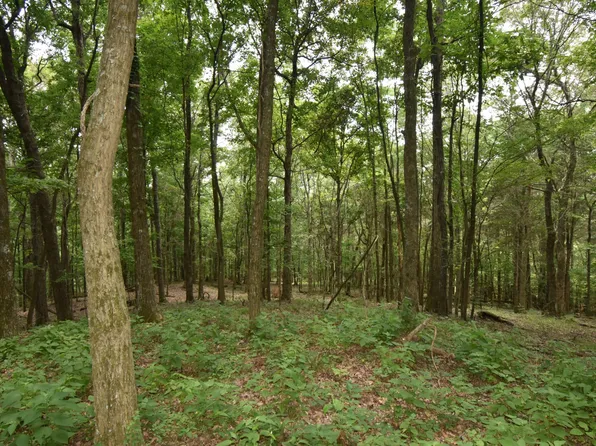 0 Lower Lick Creek Rd Lot Tr1, Linden, TN 37096
