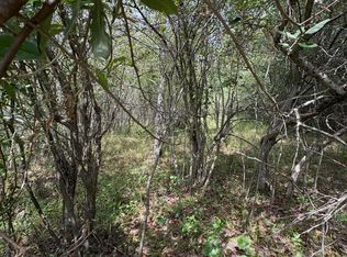 519 & 520 Lake Miramachi, Evart, MI 49631