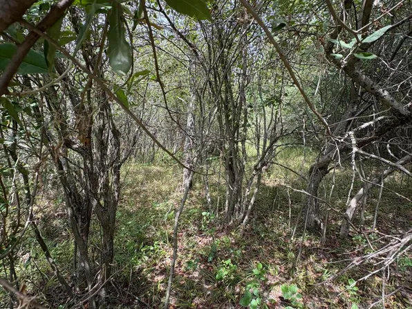 Lake Miramachi Lots #519-520, Evart, MI 49631