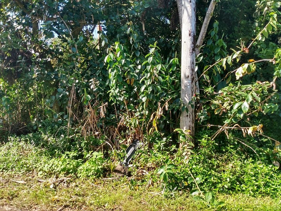 1st image of 10th Avenue Kiele Lot 819