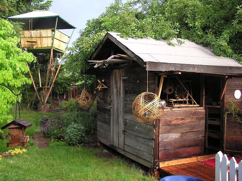 backyard shed & treehouse