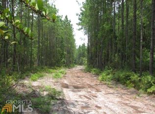 20493 Hwy 144, Richmond Hill, GA 31324