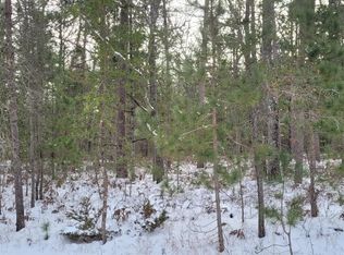 Chippewa Trl, Rogers City, MI 49779