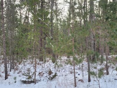 Chippewa Trl, Rogers City, MI, 49779