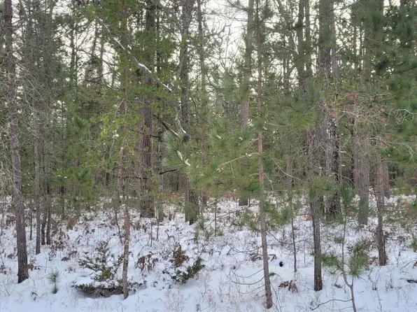 Chippewa Trl, Rogers City, MI 49779