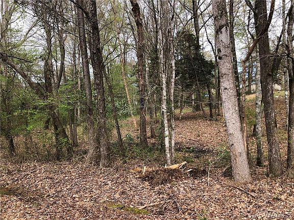 4th image of 4807 Carolina Dr