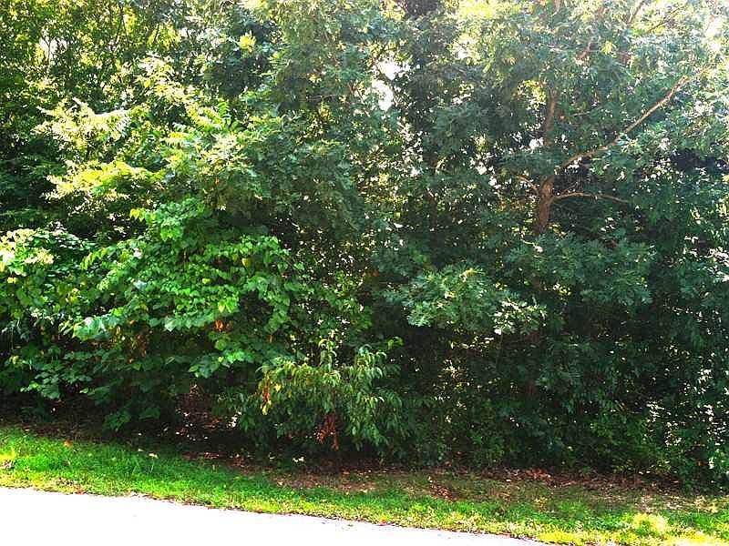 1st image of Dunsford Dr